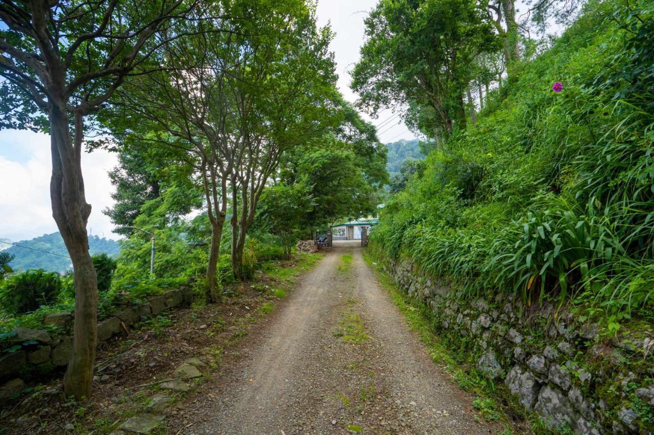 Stayvista At Springfield With Bonfire Kasauli Exteriör bild